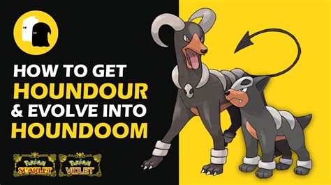 houndoom weakness|how to evolve houndour.